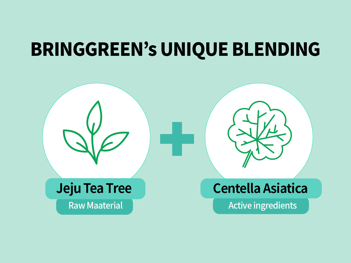 BRINGGREEN Tea Tree Cica Foam & Fresh Bowl Pack Bundle (300ml + 8g)