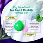 BRING GREEN Tea Tree Cica Soothing Cream for Sensitive/Acne-Prone Skin (100ml)