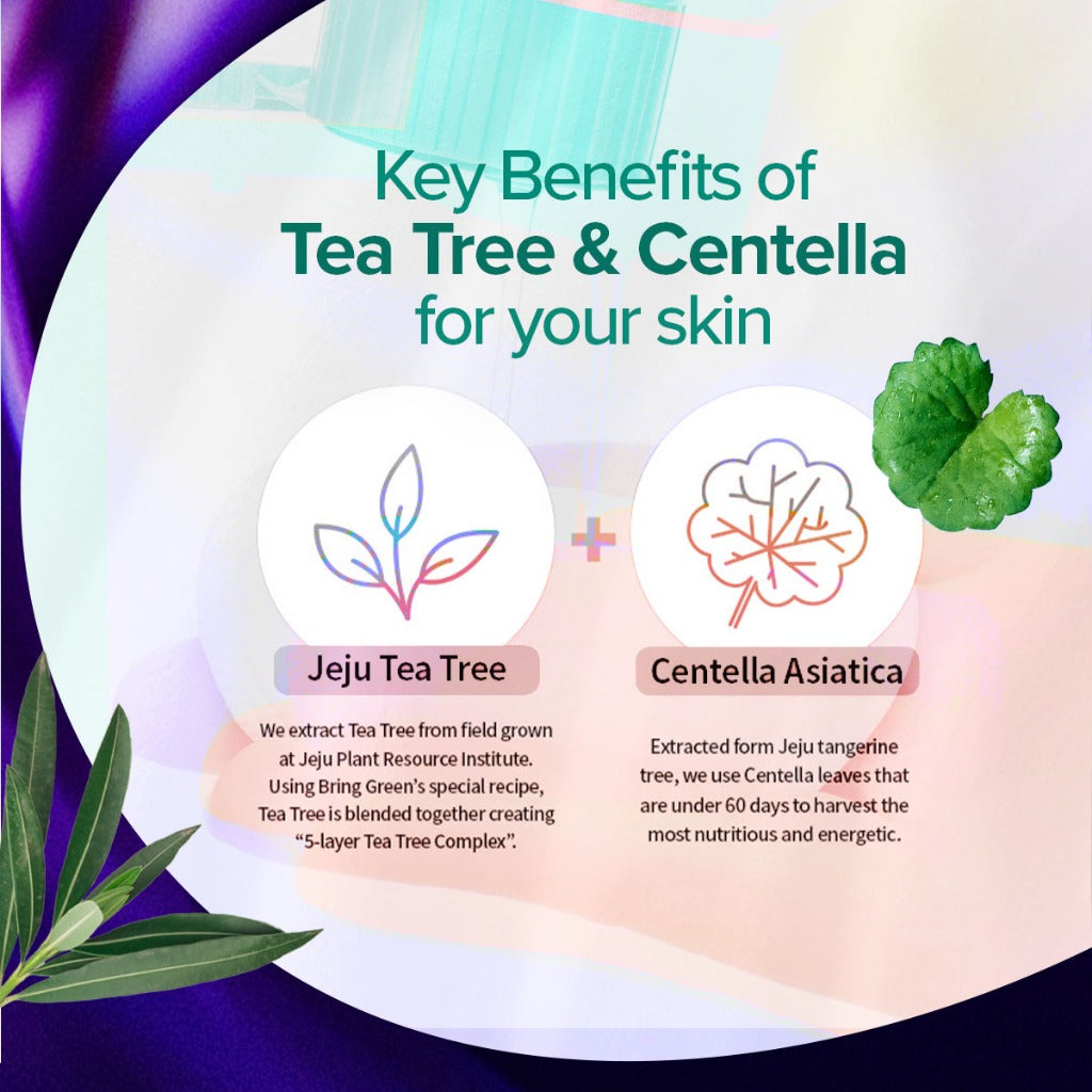 BRING GREEN Tea Tree Cica Trouble Soothing Toner for Sensitive/Acne-Prone Skin (250ml)