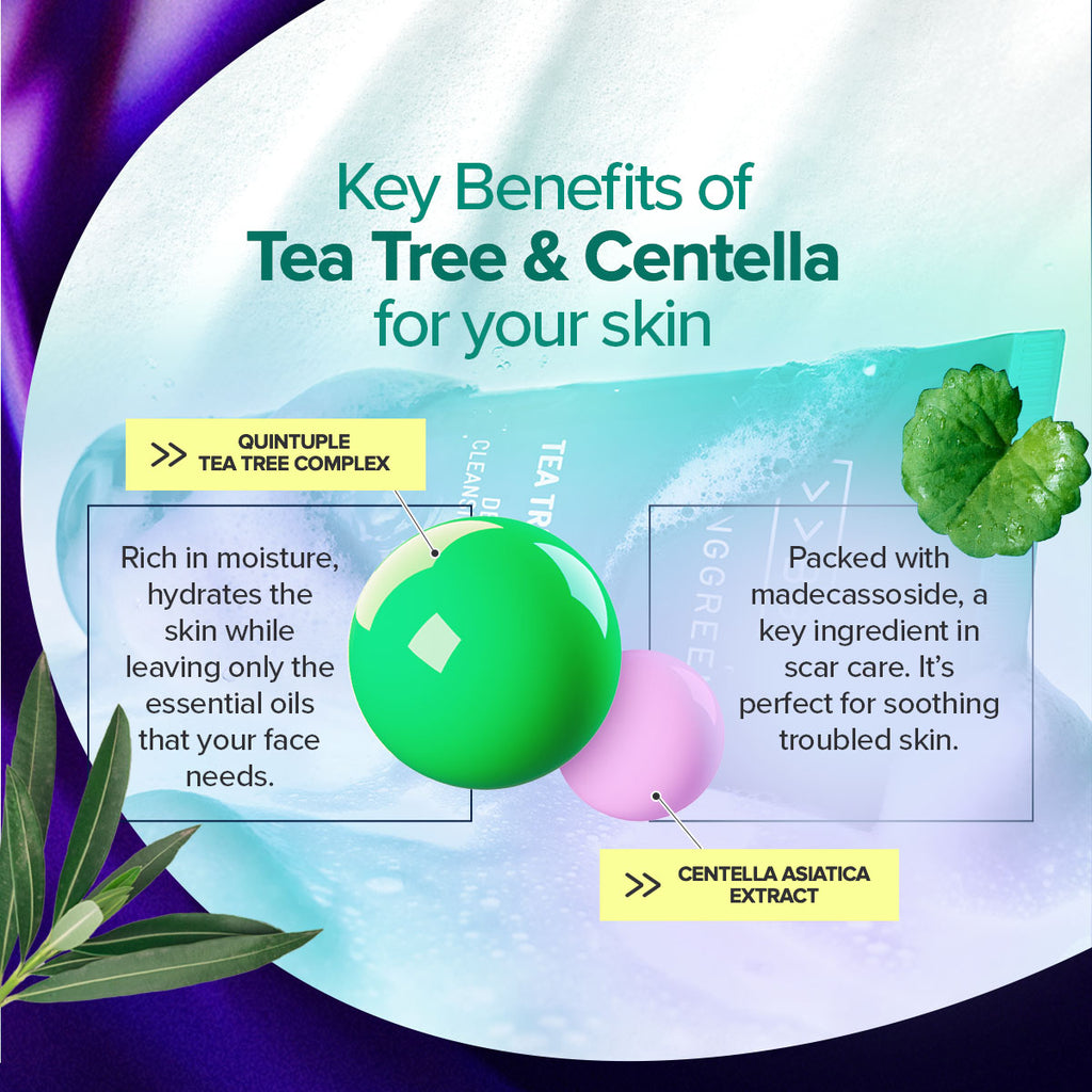BRINGGREEN Tea Tree Cica Foam & Fresh Bowl Pack Bundle (300ml + 8g)