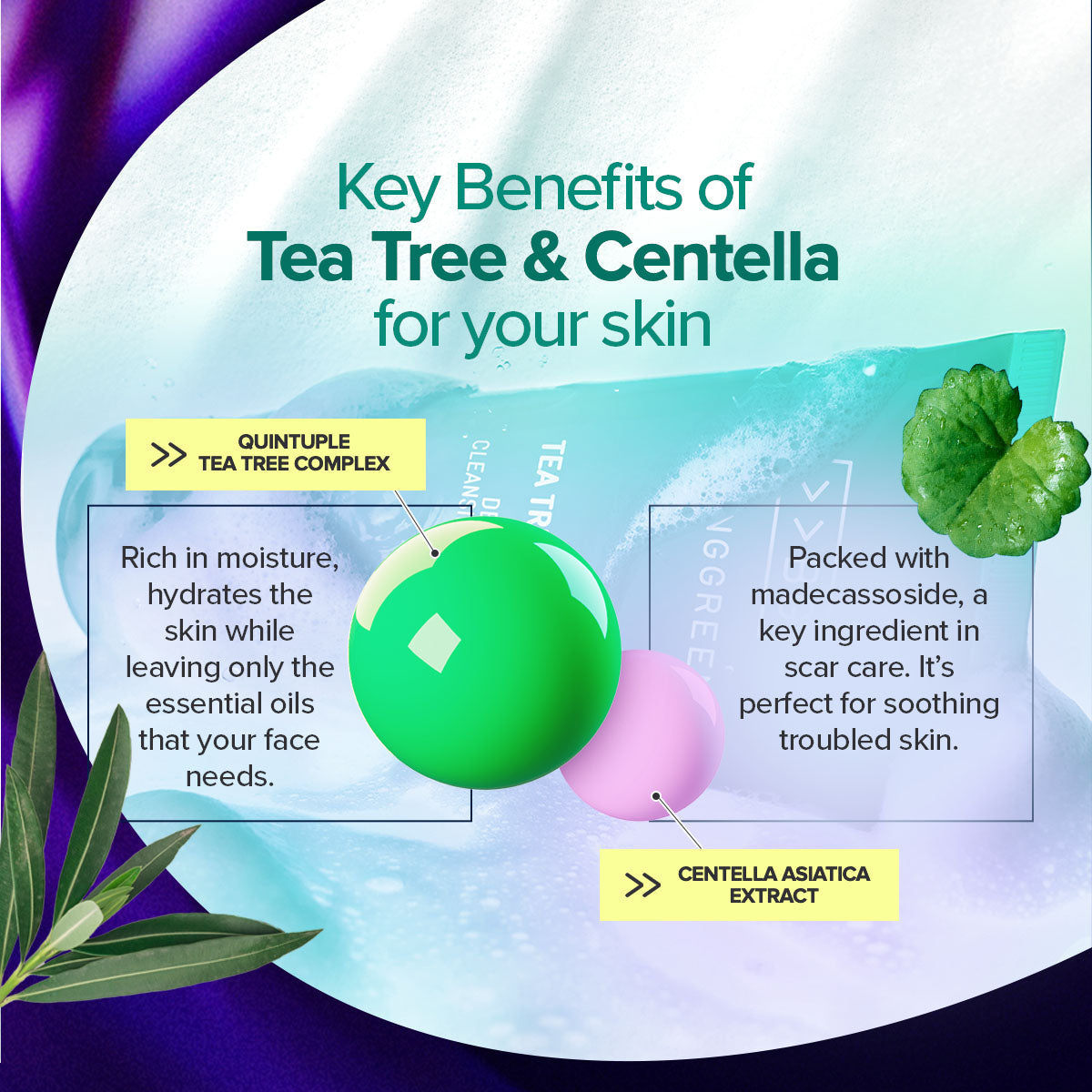 BRINGGREEN Tea Tree Cica Foam & Fresh Bowl Pack Bundle (300ml + 8g)